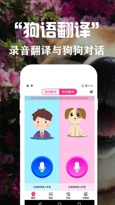 狗语翻译交流器正式版截图3