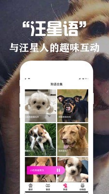 狗语翻译交流器正式版截图2