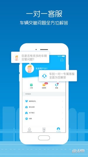 车刻查违章汉化版截图2