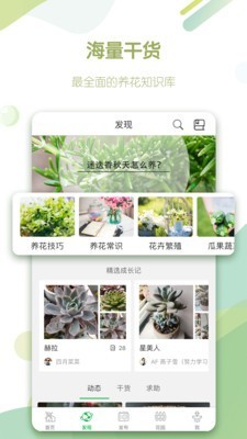 绿手指网页版截图2