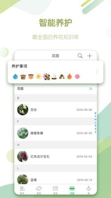 绿手指网页版截图3