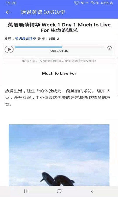 速说英语汉化版截图3