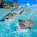鲨鱼捕猎手无限制版