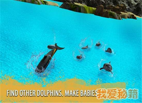 海豚家族模拟器