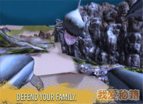 海豚家族模拟器正式版截图2